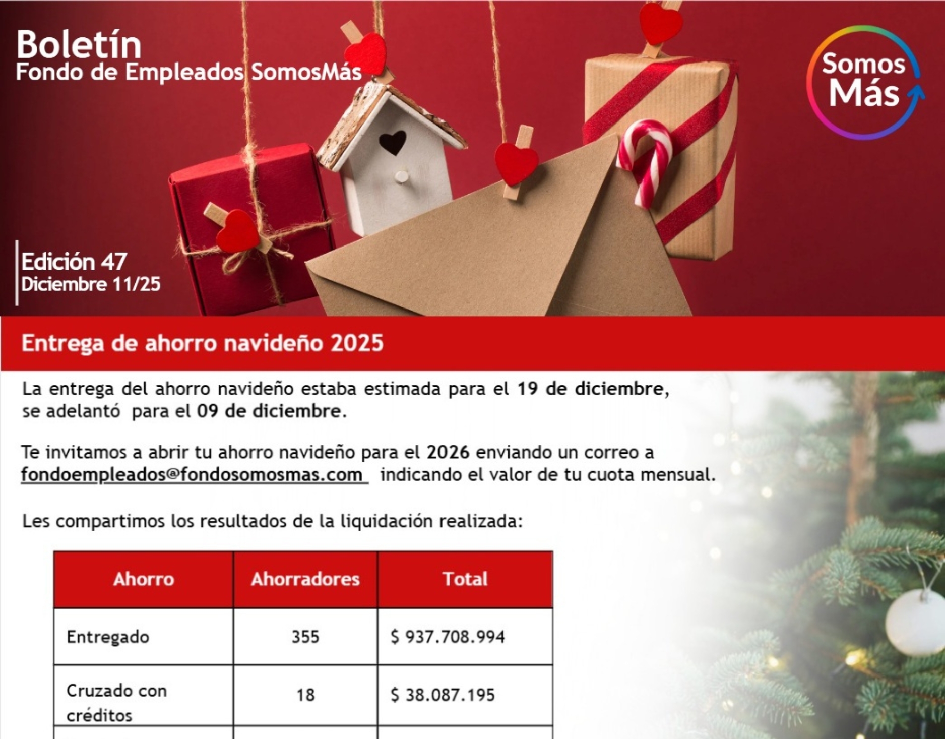 47Boletín Informativo